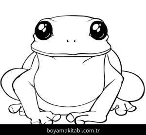 Kurbağa boyama sayfası – okul öncesi, evde etkinlik
