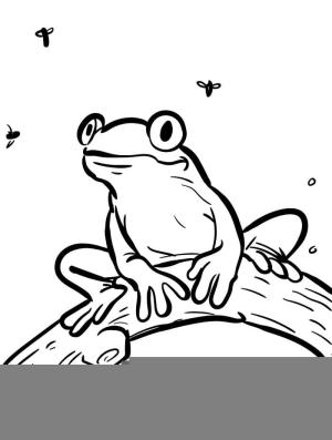 Kurbağa Boyama