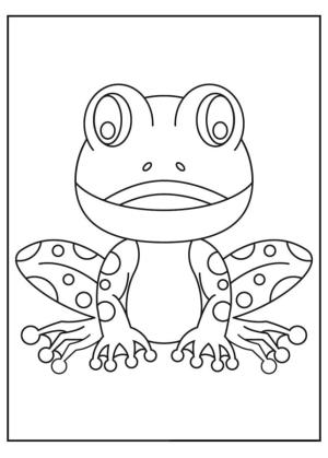 Kurbağa boyama sayfası, coloring page, Gölet kurbağası.,