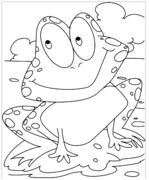 Kurbağa boyama sayfası, coloring page, Bataklık kurbağası,