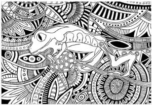 Kurbağa boyama sayfası, coloring page, Ajurlu boyama kurbağa.,