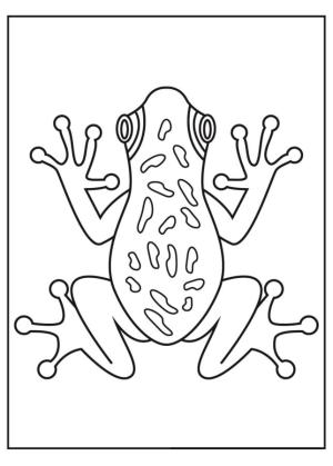 Kurbağa boyama sayfası,  coloring page, Güzel zehirli kurbağa boyama kitabı., 