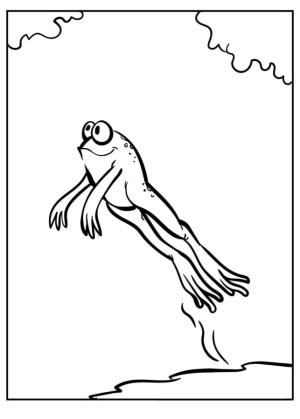 Kurbağa boyama sayfası,  coloring page, Kurbağa zıplaması., 