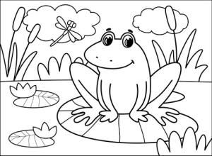 Kurbağa boyama sayfası,  coloring page, , 