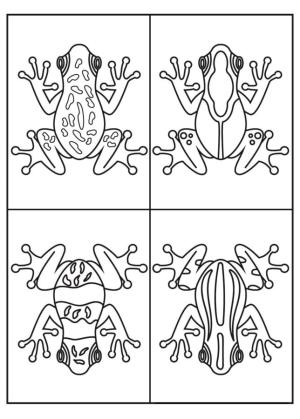 Kurbağa boyama sayfası, coloring page, Dört kurbağa boyama kitabı,