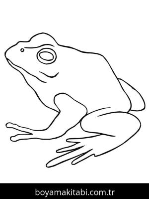 Kurbağa boyama sayfası – el becerilerini geliştirir, boyama çalışması