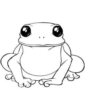 Kurbağa boyama sayfası, coloring page, Büyük siyah gözlü kurbağa,