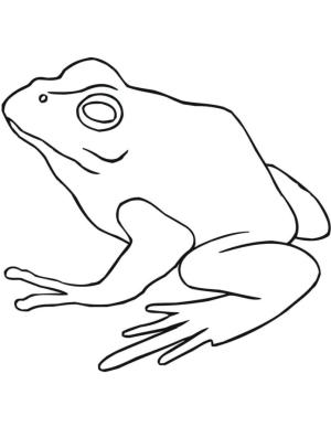 Kurbağa boyama sayfası, coloring page, Ciddi kurbağa.,
