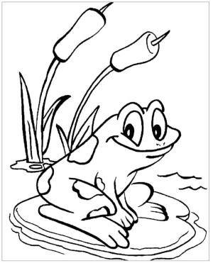 Kurbağa boyama sayfası,  coloring page, Sazlıkların yanında kurbağa., 