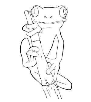 Kurbağa boyama sayfası, coloring page, Ağaçta Asılı Kurbağa,