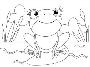 Kurbağa boyama sayfası, coloring page, Göldeki sevimli kurbağa,