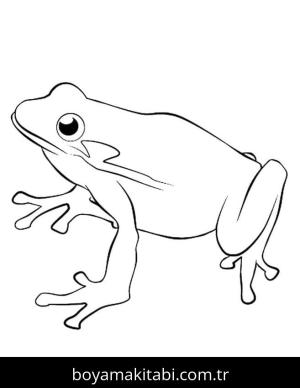 Kurbağa boyama sayfası – boyama etkinliği, çocuk aktivitesi