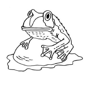 Kurbağa boyama sayfası, coloring page, Böcek gözlü kurbağa saklandı,