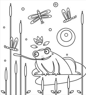 Kurbağa boyama sayfası,  coloring page, Kurbağa avda., 