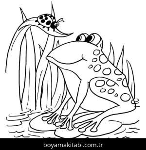 Kurbağa boyama sayfası – basit çizim, kolay boyama