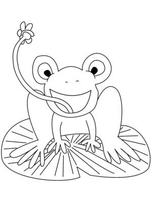 Kurbağa boyama sayfası, coloring page, Bir kurbağa diliyle tatarcık yakalar,