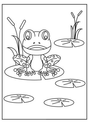 Kurbağa boyama sayfası,  coloring page, Nilüferler ile bir havuzda kurbağa, 