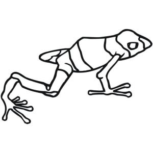 Kurbağa boyama sayfası, coloring page, Alışılmadık bir renge sahip bir kurbağa.,