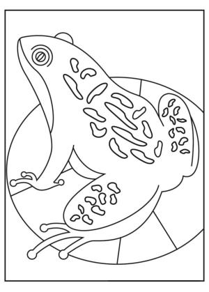 Kurbağa boyama sayfası,  coloring page, Nilüfer yaprağı üzerinde benekli kurbağa., 