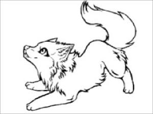 Kurt boyama sayfası, Wolf coloring page, Bebek Kurt Uluyan, 