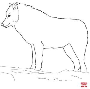 Kurt boyama sayfası, Wolf coloring page, , wolf arctic wolf 