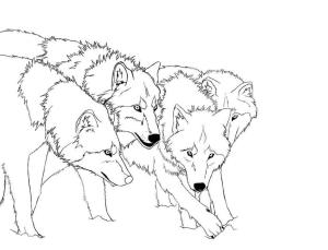 Kurt boyama sayfası, Wolf coloring page, Dört Kurt, 