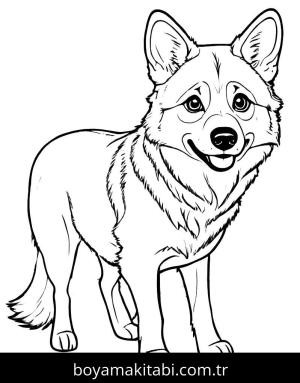 Kurt boyama sayfası, Wolf coloring page, minimal, çocuklar için, masalsı