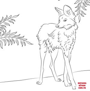 Kurt boyama sayfası, Wolf coloring page, , wolf cute maned wolf 