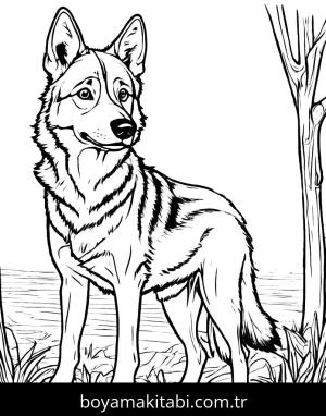 Kurt boyama sayfası, Wolf coloring page, masalsı, oyunlu, çocuklar için