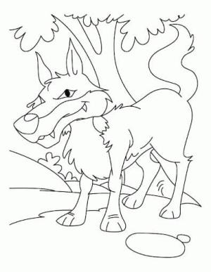 Kurt boyama sayfası, Wolf coloring page, Kurt çizgi Film, 