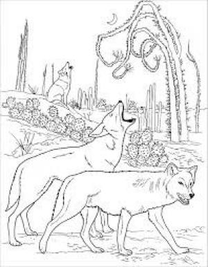 Kurt boyama sayfası, Wolf coloring page, Üç Kurt, 