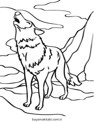 Kurt boyama sayfası – basit çizim, kolay boyama