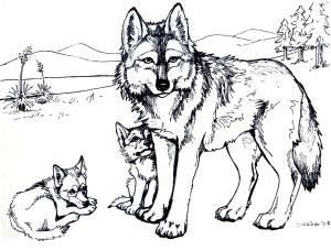 Kurt boyama sayfası, Wolf coloring page, Anne ve Iki Oğlu Kurt, 