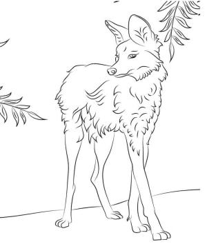 Kurt boyama sayfası, Wolf coloring page, Sevimli Yeleli Kurt, 