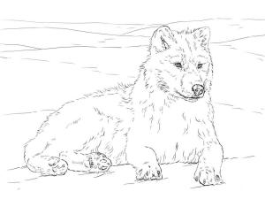 Kurt boyama sayfası, Wolf coloring page, Kutup Kurdu, 