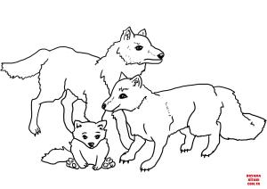 Kurt boyama sayfası, Wolf coloring page, , wolf wolves family 