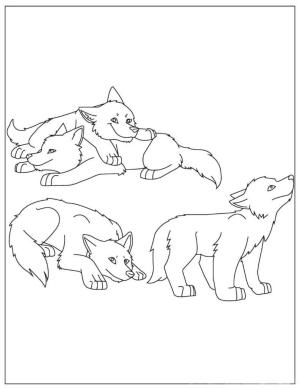 Kurt boyama sayfası, Wolf coloring page, Dört Çocuk Kurt, 