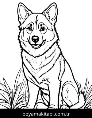 Kurt boyama sayfası, Wolf coloring page, modern, yuvarlak hatlı, doğal
