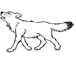 Kurt boyama sayfası, Wolf coloring page, Bebek Kurt, 