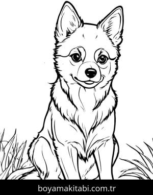 Kurt boyama sayfası, Wolf coloring page, modern, ince çizgili, komik