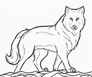 Kurt boyama sayfası, Wolf coloring page, Bir Kurt, 