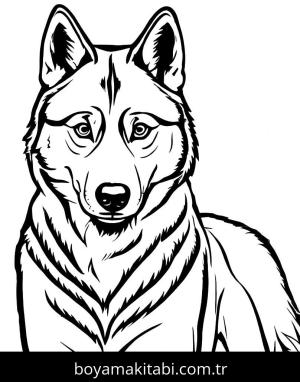 Kurt boyama sayfası, Wolf coloring page, karakterli, klasik, kolay