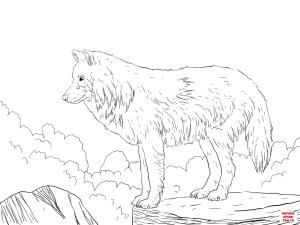 Kurt boyama sayfası, Wolf coloring page, , wolf arctic snow wolf 