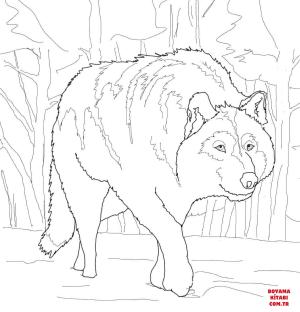 Kurt boyama sayfası, Wolf coloring page, , wolf crouching gray wolf 