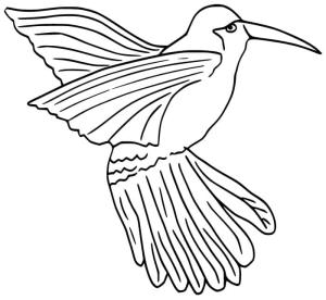 Kuş boyama sayfası,  coloring page, , 