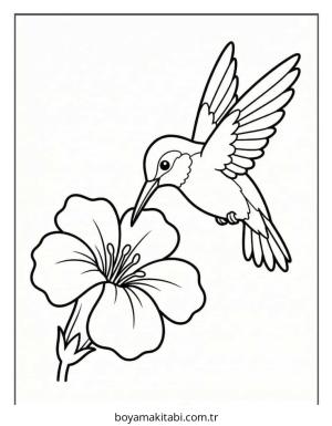Kuş boyama sayfası – çizgi film temalı, basit çizim