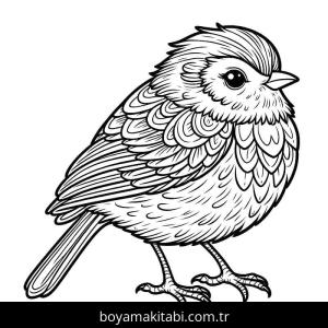 Kuş boyama sayfası – kolay boyama, eğitici aktivite