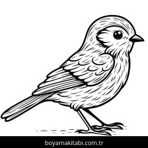 Kuş boyama sayfası – okul öncesi, evde etkinlik