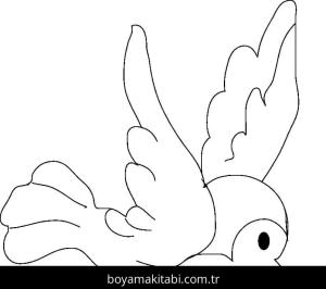 Kuş boyama sayfası – boyama çalışması, yaratıcılığı geliştirir