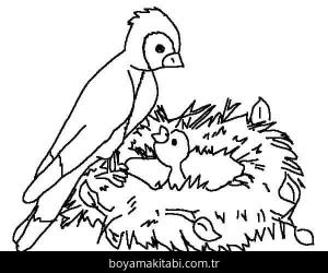 Kuş boyama sayfası – sanatsal çalışma, çocuklar için